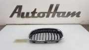 Grill 7239021 BMW 1 serie (F21) Schrägheck 3-drs 114i 1.6 16V (N13-B16A) 2014