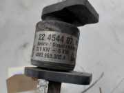 Kraftstoffpumpe Elektrisch 8R0261163B Porsche Macan (95B) SUV 2.0 16V Turbo (DLHB) 2017-05