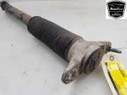 Stoßdämpfer Links Hinten 104446101E Tesla Model 3 Limousine Standard RWD Plus, Long Range RWD (3D5) 2020