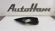 Stoßstangengitter 6J0853666A Seat Ibiza ST (6J8) Kombi 1.2 TDI Ecomotive (CFWA) 2011-01