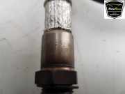 Lambdasonde 04E906262KE Volkswagen Tiguan (AD1) SUV 1.5 TSI 16V Evo BlueMotion Technology (DPCA) 2022 DPCA