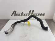 Intercooler Rohr NIETAFLEESBAAR Kia Ceed Sportswagon (CDF) Kombi 5-drs 1.0i T-GDi 12V (G3LC) 2020-08