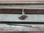 Schwellerrohre Set Opel Vivaro Van 2.0 CDTI 122 (D20DTL(DW10FE)) 2020