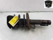 Stoßdämpfer Rechts Vorne 543020054R Renault Megane III Coupe (DZ) Schrägheck 3-drs 2.0 16V RS Turbo (F4R-M874) 2010