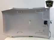 Verkleidung Himmel 853101W120HCS Kia Rio III (UB) Schrägheck 1.2 CVVT 16V (G4LA) 2013-05