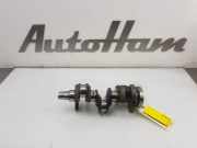 Kurbelwelle NIETAFLEESBAAR Volkswagen Polo VI (AW1) Schrägheck 5-drs 1.0 TSI 12V (DLAC) 2018-05 DLAC