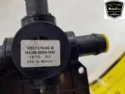 Extra Wasserpumpe 600737000B Tesla Model S Liftback 75D (L2S) 2018-05