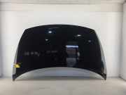 Motorhaube 664001W010 Kia Rio III (UB) Schrägheck 1.2 CVVT 16V (G4LA5) 2014-06