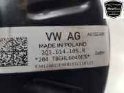 Bremskraftverstärker ABS 2Q1614106F Volkswagen Polo VI (AW1) Schrägheck 5-drs 1.0 TSI 12V (DLAA) 2021-09 DLAA