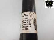 Stoßdämpfer Links Hinten 51960190 Fiat Doblo Cargo (263) Van 1.3 D Multijet (55283775) 2021