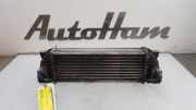 Ladeluftkühler 4999282 Ford Transit Connect Van 1.8 TDCi 90 (RWPF) 2009-05