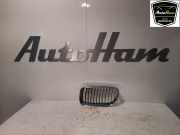 Grill 51137201967 BMW 3 serie Touring (E91) Kombi 320i 16V (N43-B20A) 2010