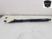 Heckklappenmotor 51247298983 BMW 3 serie Gran Turismo (F34) Schr?gheck 320i 2.0 16V (N20-B20B) 2014-05