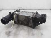 Ladeluftkühler 04E145785 Skoda Karoq SUV 1.5 TSI 16V (DADA) 2021-04