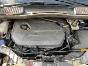 Motor 2316230 Ford C-Max (DXA) Großraumlimousine 1.6 SCTi 16V (JTDB(Euro 5)) 2011-05