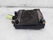 Radiator 17117802662 BMW 5 serie (F10) Limousine 530i 24V TwinPower Turbo (N55-B30A) 2013
