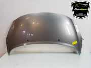 Motorhaube Peugeot 207 CC 7901N2