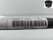 Stabilisatorstange Hinten 8W0511305AJ Audi RS 4 Avant (B9) Kombi 2.9 V6 TFSI 24V (DECA) 2019