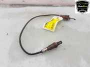 Lambdasonde 04E906262GF Volkswagen Taigo SUV 1.0 TSI 110 12V (DLAA) 2022 DLAA