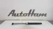 Gasdruckfedern Set Hinten AV11R406A10AB Ford B-Max (JK8) Großraumlimousine 1.4 16V (SPJD) 2016-01