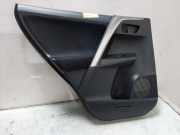 Türverkleidung Links Hinten 6764042620C1 Toyota RAV4 (A4) Geländewagen 2.5 Hybrid 16V VVT-i 4x4 (2ARFXE(Euro 6)) 2017-05