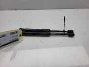 Gasdruckfeder Set Vorne 51237419387 BMW 3 serie Touring (G21) Kombi 318i 2.0 TwinPower Turbo 16V (A0001E1I318i 2.0 TwinPower Turbo 16V) 2022-07