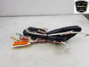 Dachairbag Links 00519255790 Fiat Panda (312) Schrägheck 0.9 TwinAir 60 (312.A.6000) 2014-11