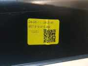 Scheibenwischer Abdeckung 657819416 Skoda Scala Schrägheck 5-drs 1.0 TSI 115 (DUSA) 2024-08