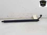 Heckklappenmotor 51249465654 BMW X2 (F39) SUV sDrive 20i 2.0 16V Twin Power Turbo (B48-A20A) 2018