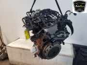 Motor 2463815 Ford Focus 4 Wagon Kombi 1.0 EcoBoost 12V Hybrid 125 (B7DC) 2020