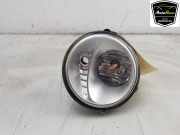 Nebelscheinwerfer Rechts Vorne 261509865R Renault Twingo II (CN) Schrägheck 3-drs 1.2 16V (D4F-770) 2014-05