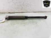 Stoßdämpfer Rechts Hinten H1BC18080AD Ford Fiesta 7 Schrägheck 1.0 EcoBoost 12V 100 (SFJN) 2019