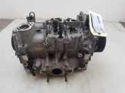 Zylinderkopf 05C103404C Audi A1 Sportback (GBA) Schrägheck 5-drs 1.0 25 TFSI 12V (DLAC) 2021-03