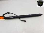 Heckklappenmotor 51247294469 BMW X5 (F15) SUV xDrive 35d 3.0 24V (N57-D30A) 2014-01