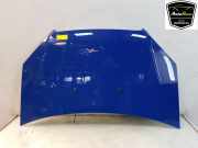 Motorhaube 51934310 Fiat Doblo Cargo (223) Van 1.3 D 16V Multijet DPF (223.A.9000) 2009-06