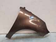 Kotflügel Rechts Vorne 631004270R Renault Grand Scénic III (JZ) Großraumlimousine 1.4 16V TCe 130 (H4J-700(H4J-A7)) 2009-07