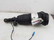 Stoßdämpfer Links Hinten 78315615 BMW X5 (G05) SUV xDrive50e 3.0 24V (B58-B30S) 2025-04