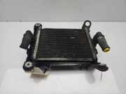 Radiator 7600698 BMW 4 serie (F32) Coupé 435d xDrive 3.0 24V (N57-D30B) 2014-08