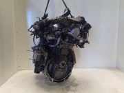 Motor 8201734019 Renault Kangoo Express (RF..) Van 1.5 Blue dCi 95 (K9K-876(K9K-U8)) 2021-04
