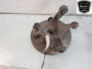 Achsschenkel Links Hinten 104441100F Tesla Model 3 Limousine EV AWD (3D7) 2020-09