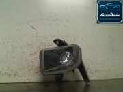 Nebelscheinwerfer Links Vorne Fiat Punto Evo (199) Schrägheck 1.6 JTD Multijet 16V Euro 5 DPF (955.A.3000) 2009