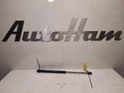 Gasdruckfedern Set Hinten 657827550A Skoda Scala Schrägheck 5-drs 1.0 TSI 115 (DKRF) 2021-01
