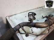 Katalysator A4474903381 Mercedes-Benz Vito (447.6) Van 1.6 111 CDI 16V (OM622.951(R9M-503)) 2017-11