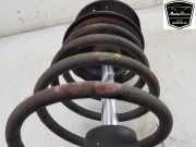 Stoßdämpfer Links Vorne 51755248 Fiat Doblo Cargo (223) Van 1.3 D 16V Multijet DPF (223.A.9000) 2009-06