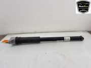Stoßdämpfer Links Hinten A2473209603 Mercedes-Benz GLB (247.6) SUV 1.3 GLB-180 Turbo 16V (M282.914) 2021-07