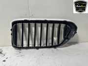 Grill 51137412422 BMW 6 serie Gran Turismo (G32) Schrägheck 620d 2.0 TwinPower Turbo 16V (B47-D20B) 2019