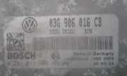Motorsteuergerät 03G906021PM Volkswagen Golf V (1K1) Schrägheck 1.9 TDI (BXE) 2005 BXE