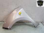 Kotflügel Links Vorne 66311B9000 Hyundai i10 (B5) Schrägheck 1.0 12V (G3LA) 2014