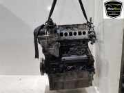 Motor 04L100039E Volkswagen Crafter (SY) Van 2.0 TDI FWD (DNAE) 2023-01 DNAE