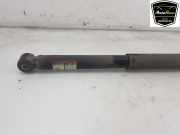 Stoßdämpfer Rechts Hinten A9073202400 Mercedes-Benz Sprinter 3,5t (906.63) Van 314 CDI 16V (OM651.955) 2020-02